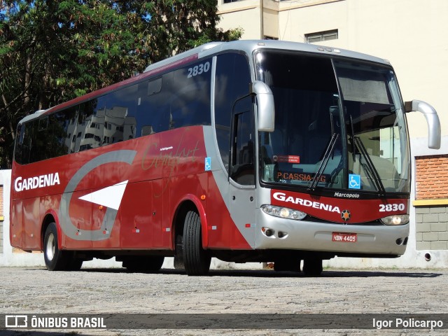 Expresso Gardenia 2830 na cidade de Divinópolis, Minas Gerais, Brasil, por Igor Policarpo. Número da foto: #9471594.