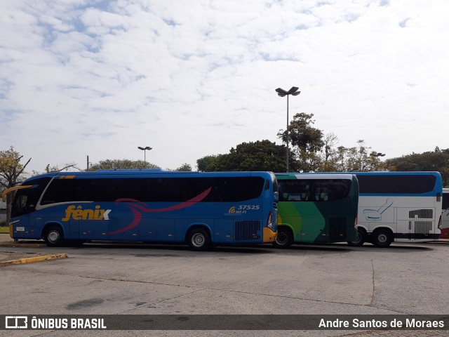 Rápido Expresso Fênix Viação 37525 na cidade de São Paulo, São Paulo, Brasil, por Andre Santos de Moraes. ID da foto: 9472121.