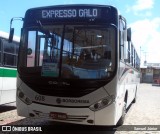 Borborema Imperial Transportes 608 na cidade de Recife, Pernambuco, Brasil, por Samuel Júnior. Número da foto: #9469981.