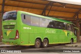 Pássaro Verde 19154 na cidade de Coimbra, Minas Gerais, Brasil, por Christian  Fortunato. Número da foto: #:id.