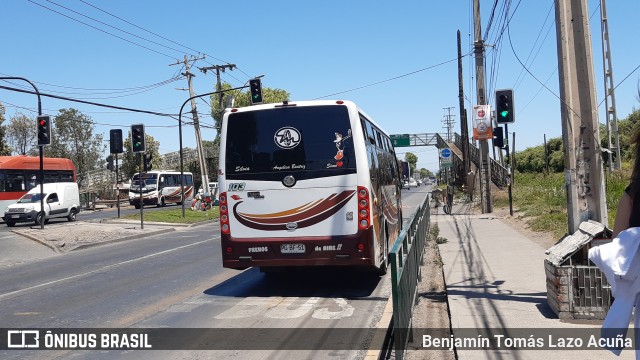 Bupesa 103 na cidade de Maipú, Santiago, Metropolitana de Santiago, Chile, por Benjamín Tomás Lazo Acuña. Número da foto: #9472693.