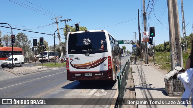 Bupesa 103 na cidade de Maipú, Santiago, Metropolitana de Santiago, Chile, por Benjamín Tomás Lazo Acuña. ID da foto: 9472693.