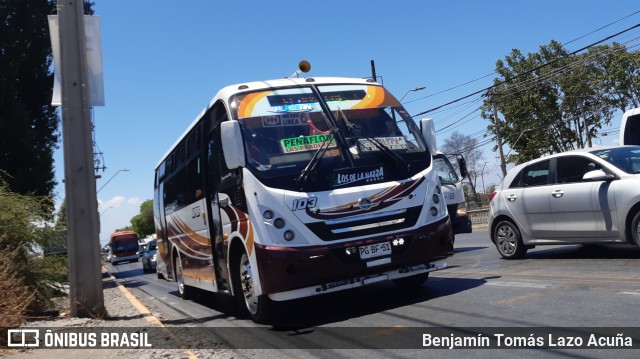 Bupesa 103 na cidade de Maipú, Santiago, Metropolitana de Santiago, Chile, por Benjamín Tomás Lazo Acuña. ID da foto: 9472677.