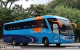 Empresa de Ônibus Pássaro Marron 5102 na cidade de São Paulo, São Paulo, Brasil, por Francisco Ivano. Número da foto: #9477193.