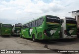 Pássaro Verde 11094 na cidade de Sete Lagoas, Minas Gerais, Brasil, por Vicente de Paulo Alves. Número da foto: #9479039.