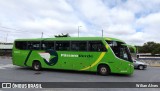 Pássaro Verde 11094 na cidade de Belo Horizonte, Minas Gerais, Brasil, por Wilian Alves. Número da foto: #:id.