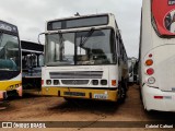 Companhia Carris Porto-Alegrense A-8 na cidade de Porto Alegre, Rio Grande do Sul, Brasil, por Gabriel Cafruni. Número da foto: #9480744.