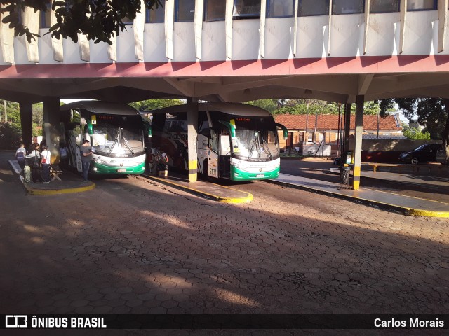 Terminais Rodoviários e Urbanos PRESIDENTE VENCESLAU-SP na cidade de Presidente Venceslau, São Paulo, Brasil, por Carlos Morais. Número da foto: #9429925.