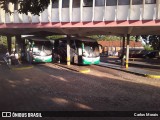 Terminais Rodoviários e Urbanos PRESIDENTE VENCESLAU-SP na cidade de Presidente Venceslau, São Paulo, Brasil, por Carlos Morais. Número da foto: #9429925.