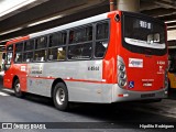 Express Transportes Urbanos Ltda 4 4944 na cidade de São Paulo, São Paulo, Brasil, por Hipólito Rodrigues. Número da foto: #:id.