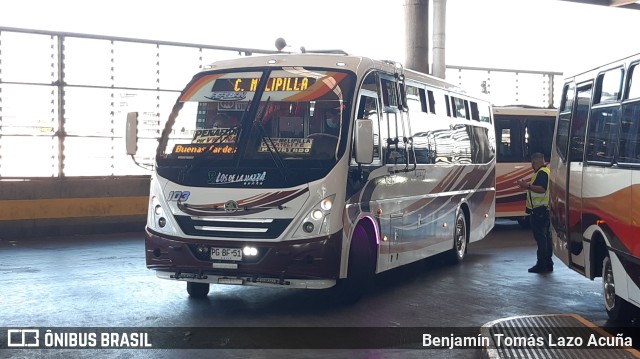 Bupesa 103 na cidade de Estación Central, Santiago, Metropolitana de Santiago, Chile, por Benjamín Tomás Lazo Acuña. Número da foto: #9483833.
