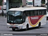 Transgodoi 8300 na cidade de Juiz de Fora, Minas Gerais, Brasil, por Luiz Krolman. Número da foto: #9485911.