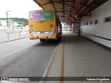 Piedade Itajaí - Transpiedade Transportes Coletivos 213 na cidade de Itajaí, Santa Catarina, Brasil, por Fabiano Magalhaes. Número da foto: #9485908.