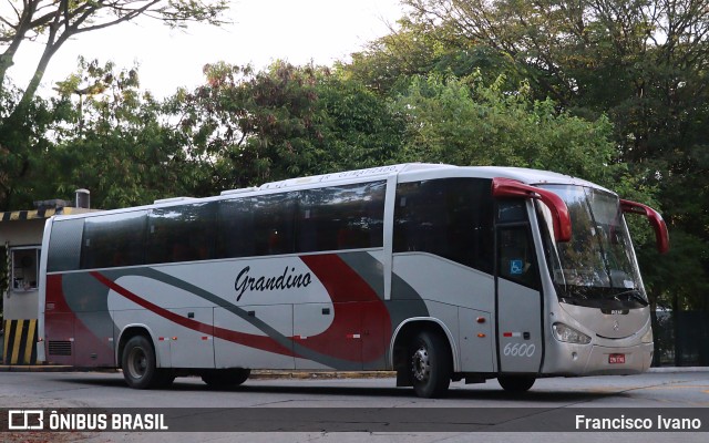 Grandino Transportes 6600 na cidade de São Paulo, São Paulo, Brasil, por Francisco Ivano. Número da foto: #9492827.