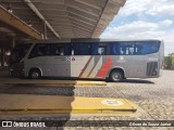Transportes Capellini 15010 na cidade de Americana, São Paulo, Brasil, por Gilson de Souza Junior. Número da foto: #:id.
