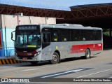 Transwolff Transportes e Turismo 7 8364 na cidade de São Paulo, São Paulo, Brasil, por David Roberto Silva Dos Santos. Número da foto: #:id.