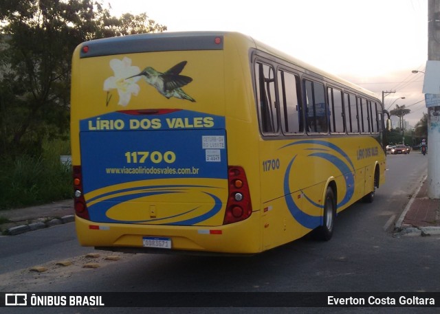 Viação Lírio dos Vales 11700 na cidade de Cariacica, Espírito Santo, Brasil, por Everton Costa Goltara. Número da foto: #9501245.