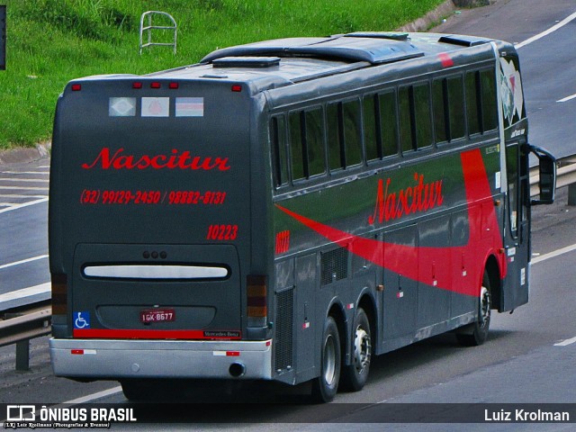 Nascitur 10223 na cidade de Juiz de Fora, Minas Gerais, Brasil, por Luiz Krolman. ID da foto: 9500721.