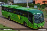 Pássaro Verde 20179 na cidade de Santa Bárbara, Minas Gerais, Brasil, por Rodrigo Matheus. Número da foto: #:id.