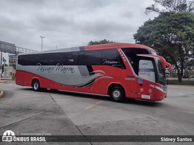 Empresa de Ônibus Pássaro Marron 5929 na cidade de São Paulo, São Paulo, Brasil, por Sidney Santos. Número da foto: #9502690.