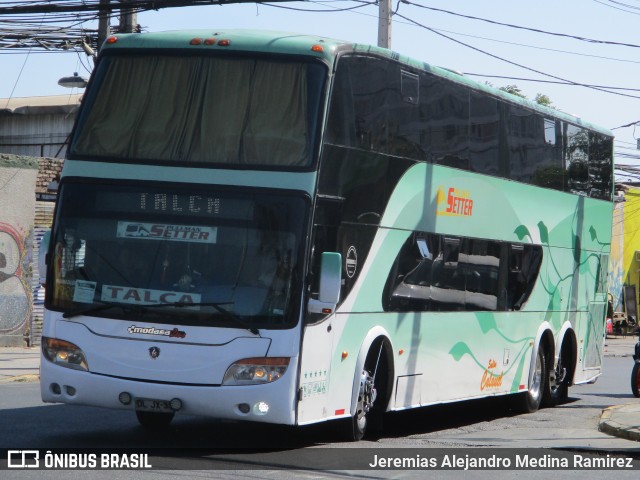 Pullman Setter  na cidade de Santiago, Santiago, Metropolitana de Santiago, Chile, por Jeremias Alejandro Medina Ramirez. Número da foto: #9506628.