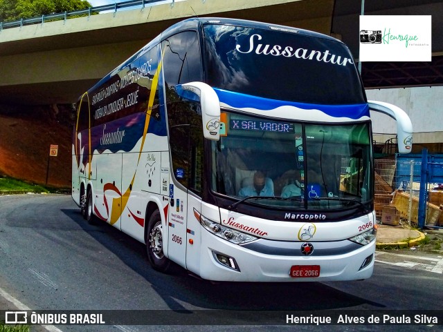 Sussantur 2066 na cidade de Campinas, São Paulo, Brasil, por Henrique Alves de Paula Silva. ID da foto: 9507603.