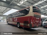 Santa Maria Fretamento e Turismo > Transportes Santa Maria(SP) 530 na cidade de São Bernardo do Campo, São Paulo, Brasil, por Agnaldo Penides. Número da foto: #9444971.