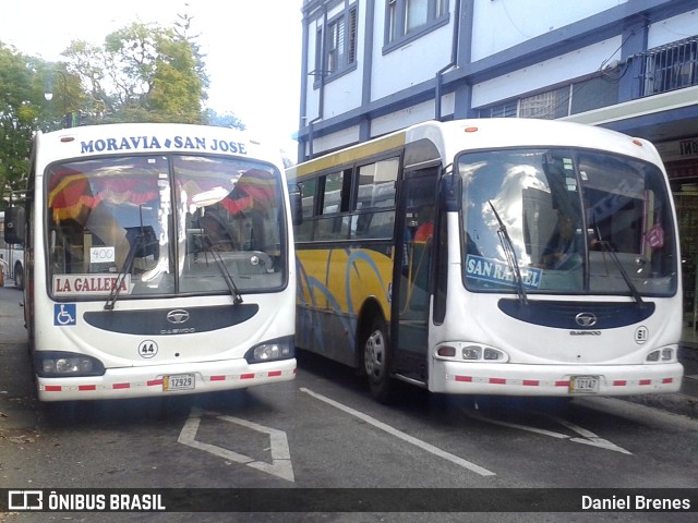AMSA - Autotransportes Moravia 61 na cidade de Carmen, San José, San José, Costa Rica, por Daniel Brenes. Número da foto: #9448268.