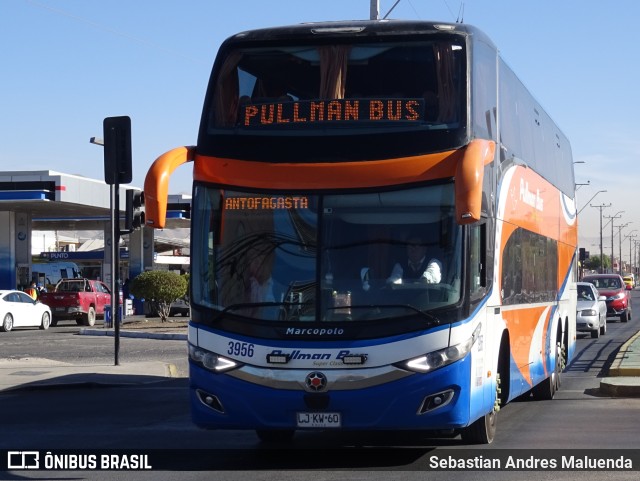 Pullman Bus 3956 na cidade de Calama, El Loa, Antofagasta, Chile, por Sebastian Andres Maluenda. Número da foto: #9539025.