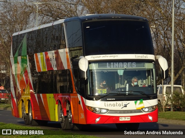 Buses Linatal 205 na cidade de Chillán, Ñuble, Bío-Bío, Chile, por Sebastian Andres Maluenda. Número da foto: #9539695.