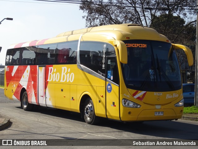 Buses Bio Bio 365 na cidade de Chillán, Ñuble, Bío-Bío, Chile, por Sebastian Andres Maluenda. Número da foto: #9539686.