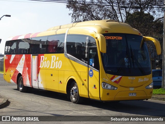 Buses Bio Bio 365 na cidade de Chillán, Ñuble, Bío-Bío, Chile, por Sebastian Andres Maluenda. ID da foto: 9539686.