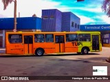 TUPi Transportes Urbanos Piracicaba 8179 na cidade de Piracicaba, São Paulo, Brasil, por Henrique Alves de Paula Silva. Número da foto: #9539731.