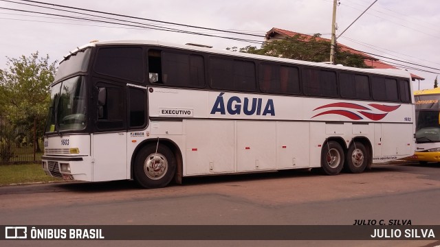Águia 1603 na cidade de Esteio, Rio Grande do Sul, Brasil, por JULIO SILVA. Número da foto: #9541106.