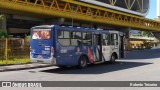Tucuruvi Transportes e Turismo 1596 na cidade de São Paulo, São Paulo, Brasil, por Roberto Teixeira. Número da foto: #9548585.