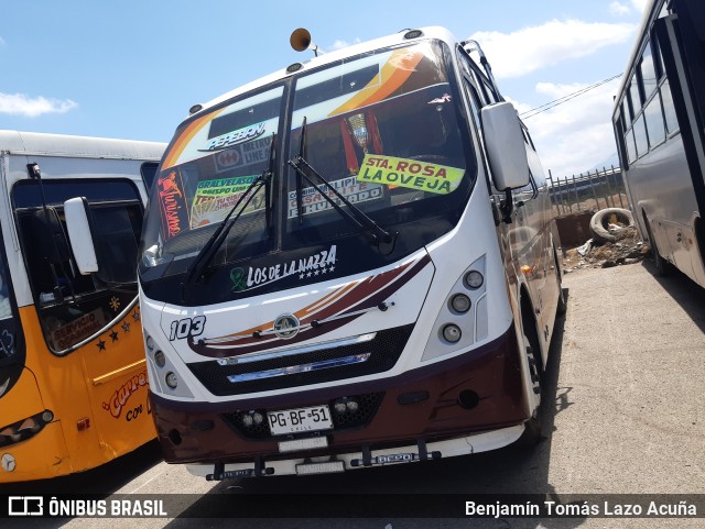 Bupesa 103 na cidade de Cerrillos, Santiago, Metropolitana de Santiago, Chile, por Benjamín Tomás Lazo Acuña. Número da foto: #9550150.