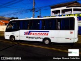 Transviva Transportes 39 na cidade de Campinas, São Paulo, Brasil, por Henrique Alves de Paula Silva. Número da foto: #9550919.