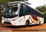 Vera Cruz Transporte e Turismo 1860 na cidade de Araxá, Minas Gerais, Brasil, por Lucas Borges . Número da foto: #9551509.