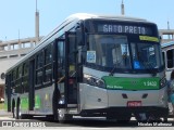 Viação Gato Preto 1 2432 na cidade de São Paulo, São Paulo, Brasil, por Nicolas Matheusz. Número da foto: #9550520.