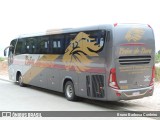 Leões de Ouro Transportes e Turismo 8000 na cidade de Florianópolis, Santa Catarina, Brasil, por Bruno Barbosa Cordeiro. Número da foto: #:id.