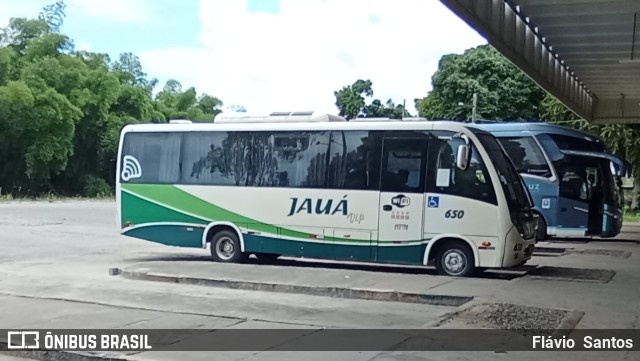 Viação Jauá 650 na cidade de Cruz das Almas, Bahia, Brasil, por Flávio  Santos. ID da foto: 9557941.