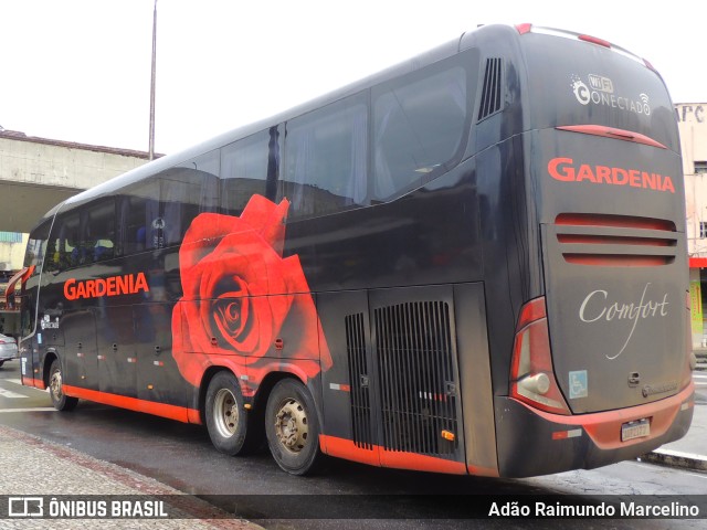 Expresso Gardenia 4100 na cidade de Belo Horizonte, Minas Gerais, Brasil, por Adão Raimundo Marcelino. Número da foto: #9559381.