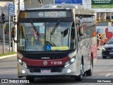 Transwolff Transportes e Turismo 7 8128 na cidade de São Paulo, São Paulo, Brasil, por Erik Ferreira. Número da foto: #:id.