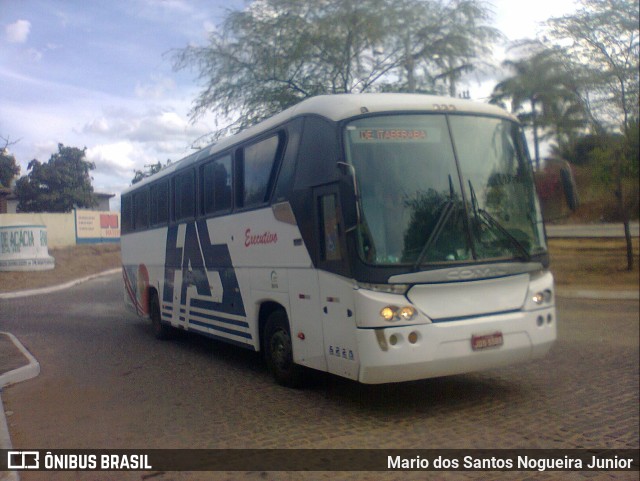 Falcão Real 6220 na cidade de Piritiba, Bahia, Brasil, por Mario dos Santos Nogueira Junior. Número da foto: #9562281.