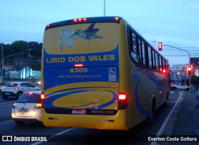 Viação Lírio dos Vales 8300 na cidade de Cariacica, Espírito Santo, Brasil, por Everton Costa Goltara. Número da foto: #9567188.