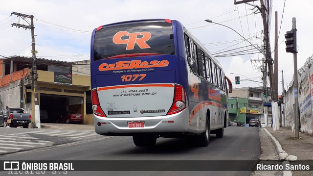 Cati Rose Transporte de Passageiros 1077 na cidade de São Bernardo do Campo, São Paulo, Brasil, por Ricardo Santos. Número da foto: #9566603.