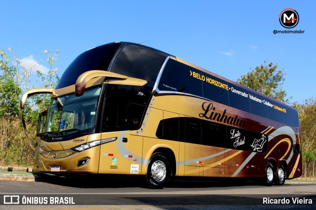 Linhatur Turismo e Fretamento 8010 na cidade de Belo Horizonte, Minas Gerais, Brasil, por Ricardo Vieira. Número da foto: #9566673.