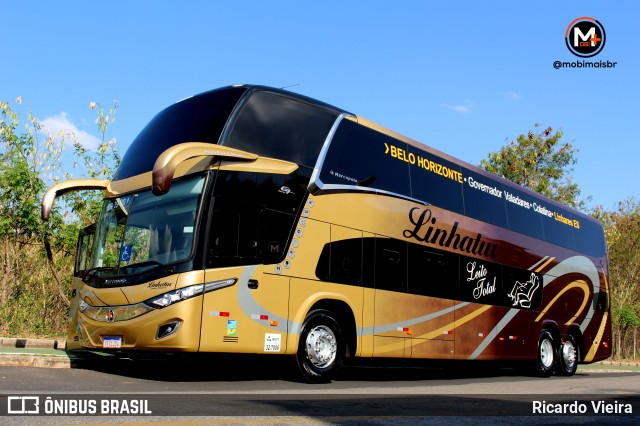 Linhatur Turismo e Fretamento 8010 na cidade de Belo Horizonte, Minas Gerais, Brasil, por Ricardo Vieira. ID da foto: 9566673.