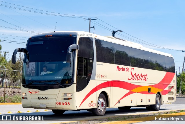 TNS - Transportes Norte de Sonora 06403 na cidade de Querétaro, Querétaro, México, por Fabián Reyes. Número da foto: #9520466.