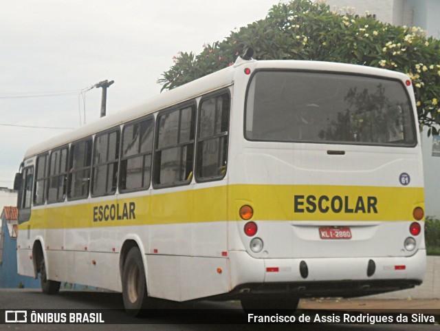 Escolares 2880 na cidade de Teresina, Piauí, Brasil, por Francisco de Assis Rodrigues da Silva. Número da foto: #9519108.